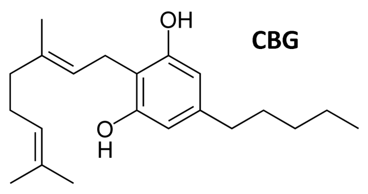 Was ist CBG (Cannabigerol)?