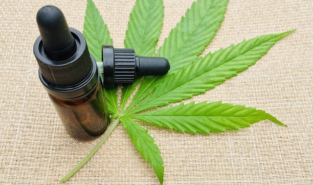 CBD Öl: Deshalb sollten Sie  ein Bio-Öl wählen