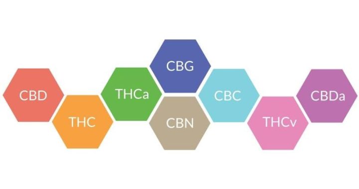 Was sind Cannabinoide und was tun Sie?