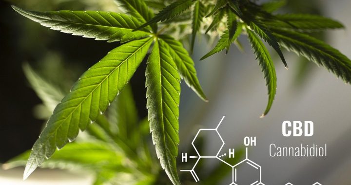 CBD kaufen: Darauf sollten Sie unbedingt achten