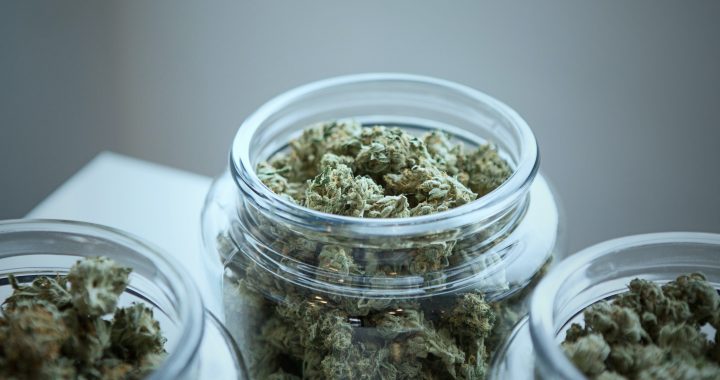 CBG Blüten: Das nächste Cannabinoid, das durchstartet?