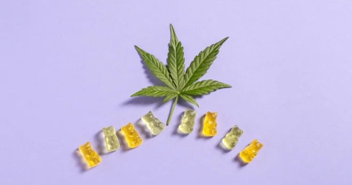 CBD Fruchtgummis gegen Schmerzen | Nordic Oil